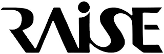 RAISE logo