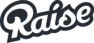 RAISE logo