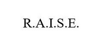 R.A.I.S.E. logo