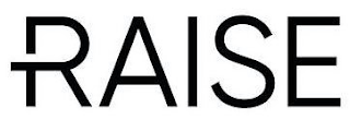 RAISE logo