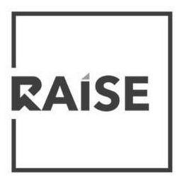 RAISE logo