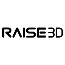 RAISE3D logo