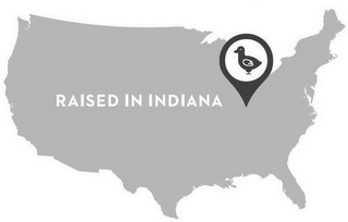 RAISED IN INDIANA logo