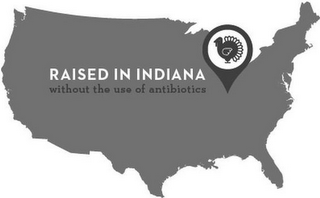 RAISED IN INDIANA WITHOUT THE USE OF ANTIBIOTICS logo