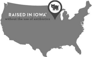 RAISED IN IOWA WITHOUT THE USE OF ANTIBIOTICS logo