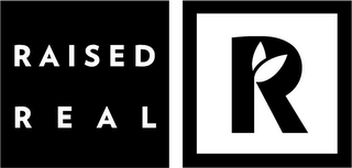 RAISED REAL R logo