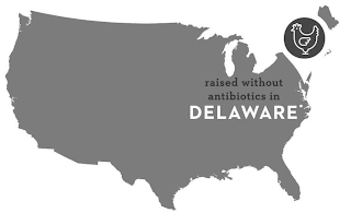 RAISED WITHOUT ANTIBIOTICS IN DELAWARE logo