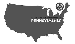 RAISED WITHOUT ANTIBIOTICS IN PENNSYLVANIA logo