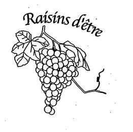 RAISINS D'ÊTRE logo
