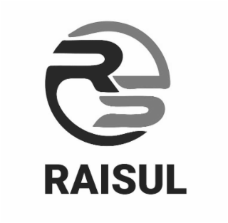 RAISUL logo