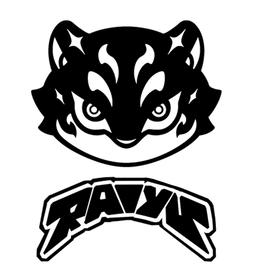 RAIYU logo