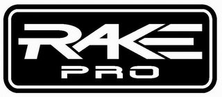 RAKE PRO logo