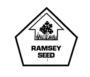 RAMSEY SEED logo