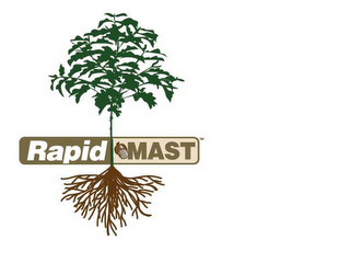 RAPID MAST logo