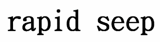 RAPID SEEP logo