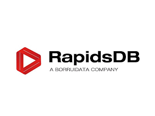 RAPIDSDB A BORRUIDATA COMPANY logo