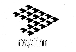RAPTIM logo