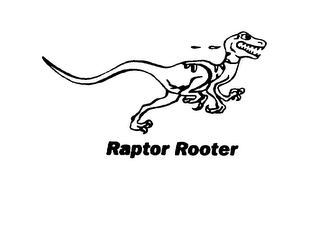 RAPTOR ROOTER logo