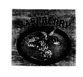 RASPBERRY logo