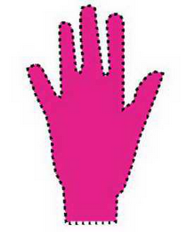 RASPBERRY logo
