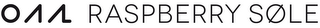 RASPBERRY SOLE logo