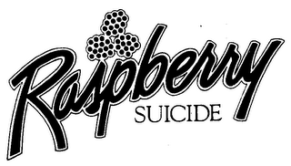 RASPBERRY SUICIDE logo