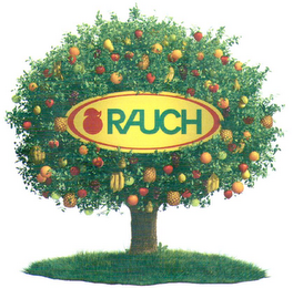 RAUCH logo