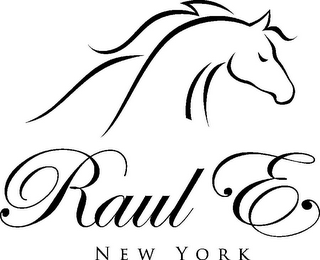 RAUL E NEW YORK logo