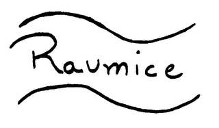 RAUMICE logo
