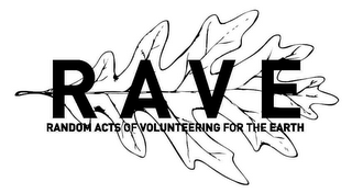 RAVE RANDOM ACTS OF VOLUNTEERING FOR THE EARTH logo