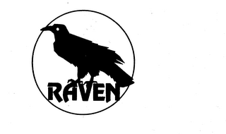RAVEN logo