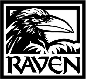 RAVEN logo