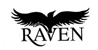 RAVEN logo