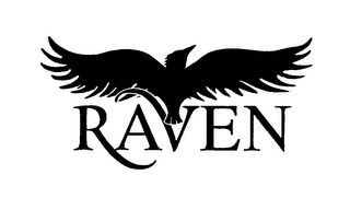 RAVEN logo
