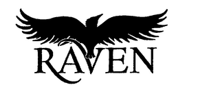 RAVEN logo