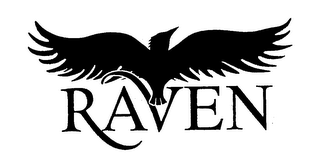 RAVEN logo