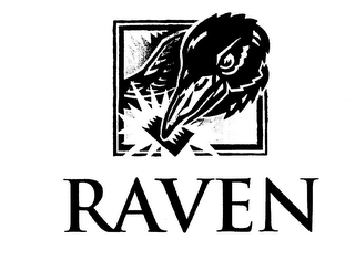 RAVEN logo