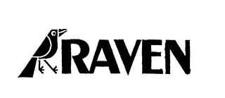 RAVEN logo
