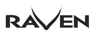 RAVEN logo