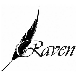 RAVEN logo