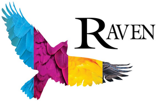 RAVEN logo