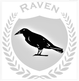 RAVEN logo