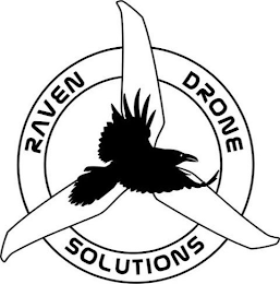 RAVEN DRONE SOLUTIONS logo