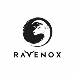 RAVENOX logo