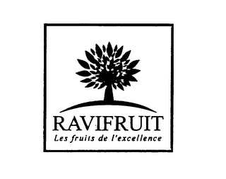 RAVIFRUIT LES FRUITS DE L'EXCELLENCE logo
