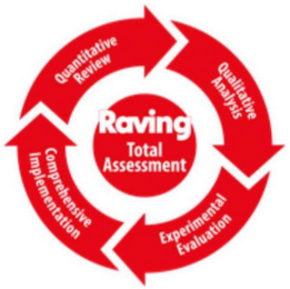 RAVING TOTAL ASSESSMENT QUANTITATIVE REVIEW QUALITATIVE ANALYSIS EXPERIMENTAL EVALUATION COMPREHENSIVE IMPLEMENTATION logo