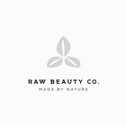 RAW BEAUTY CO MADE BY NATURE logo