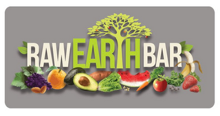 RAW EARTH BAR logo