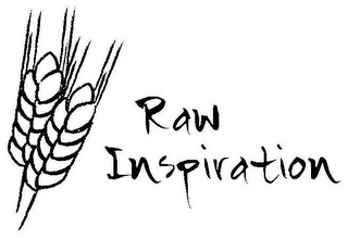 RAW INSPIRATION logo