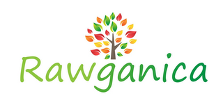 RAWGANICA logo